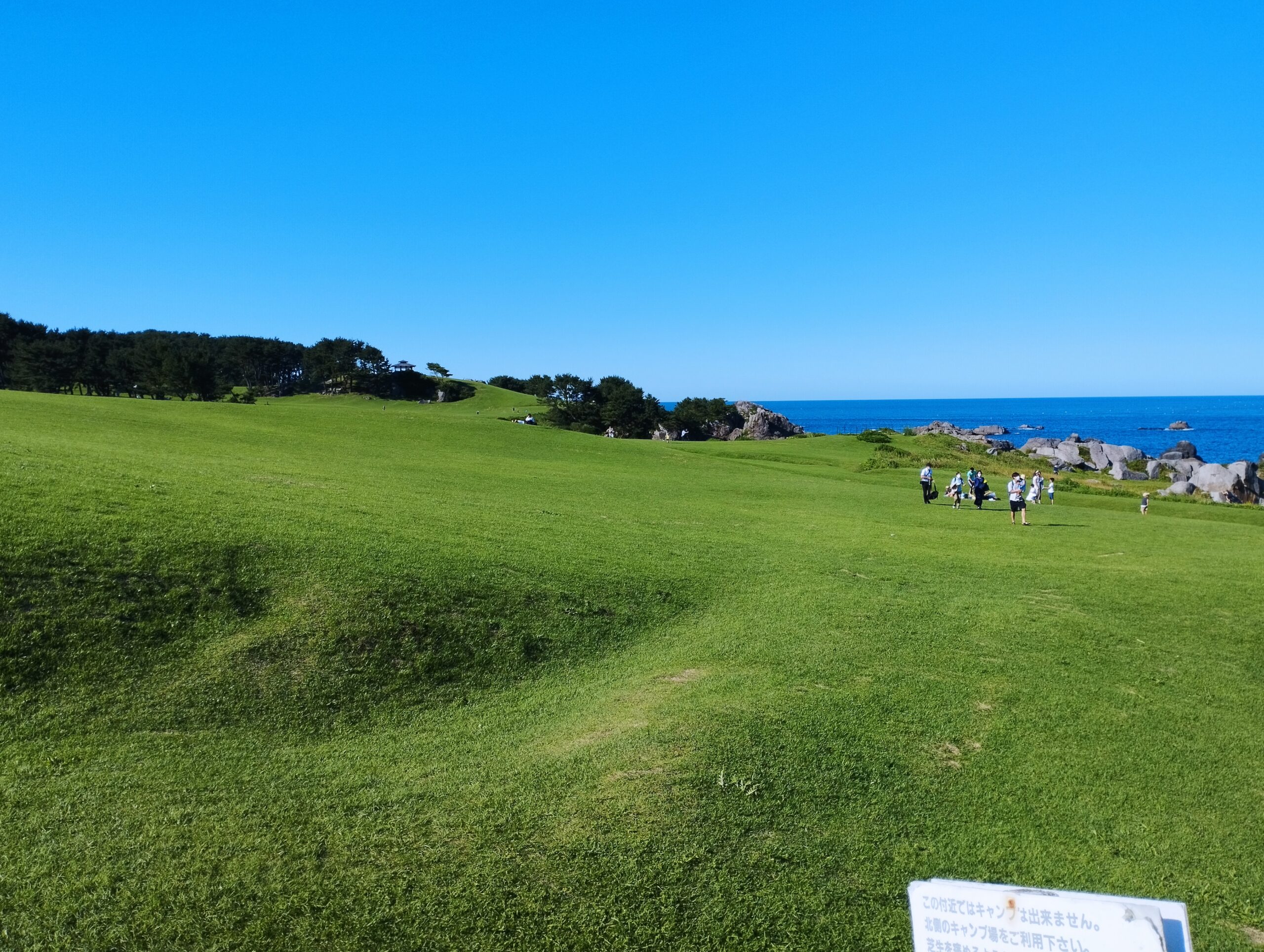 種差海岸　天然芝生地